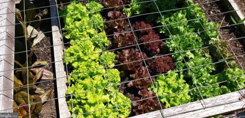 1139 Wilson Ave, Glen Mills PA  19342-9610 exterior