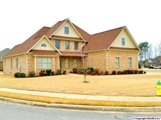 19 Elm Ridge Blvd, Huntsville, AL 35824-4004