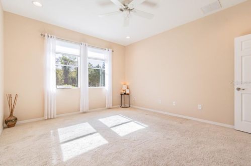 11156 Belle Hvn Dr, New Port Richey FL 34654-4491 exterior