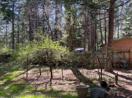 6592 Imperial Way, Nimshew CA  95954-9367 exterior