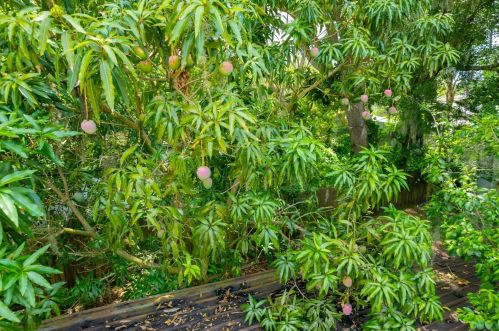 1235 Swearingen Ave, Bartow FL  33830-6550 exterior