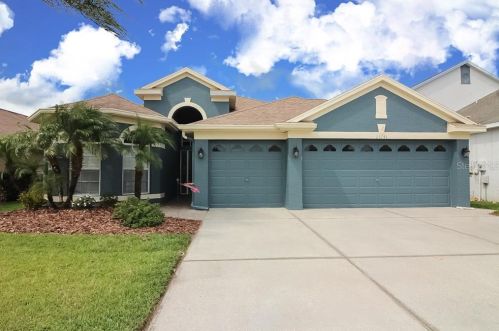 23741 Estero Ct, Land O Lakes, FL 34639-4885