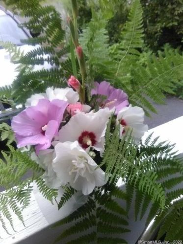 18 Simsbury St, Waterbury CT  06704-2719 exterior