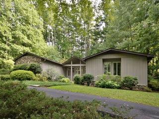 104 Pleasant Hill Rd, Hendersonville, NC 28739-7893