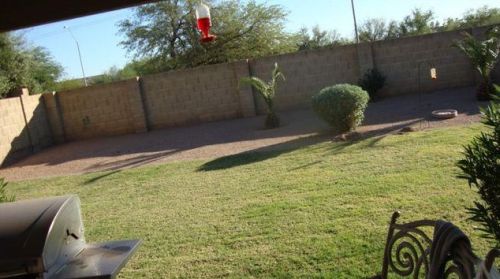 10851 Becker Ln, Scottsdale AZ  85259-3954 exterior