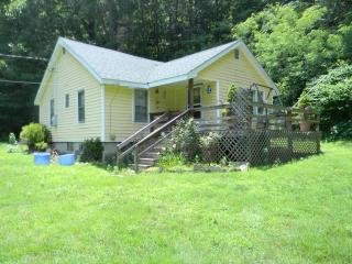 180 Pacer Trl, Canton, NC 28716-5802