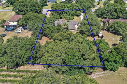 22803 Stallion Dr, Mount Plymouth, FL 32776-9183