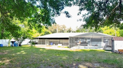 17320 Lynnette Dr, Lutz FL  33549-5608 exterior