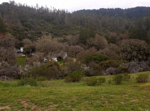 5480 Canyon Rd, Willits CA  95490-9242 exterior