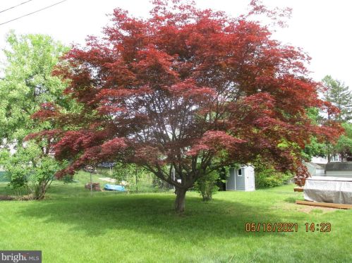 565 Wilson St, Pottstown, PA 19464-4751