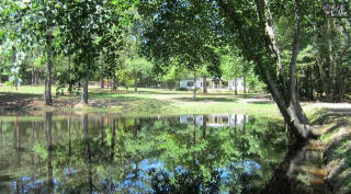 275 Walter Rawl Rd, Lexington, SC 29072-9275