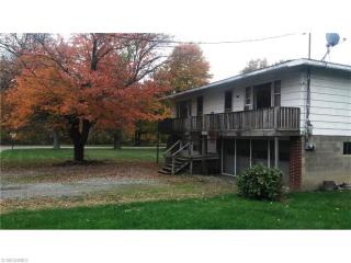 3645 Snyder Rd, Leavittsburg, OH 44430-9638
