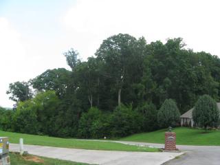 1810 Spencer Dr, Maryville, TN 37801-0858