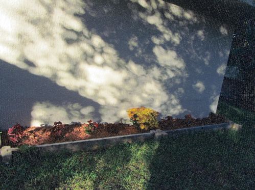 2815 Menard Dr, Deland FL 32720-8728 exterior