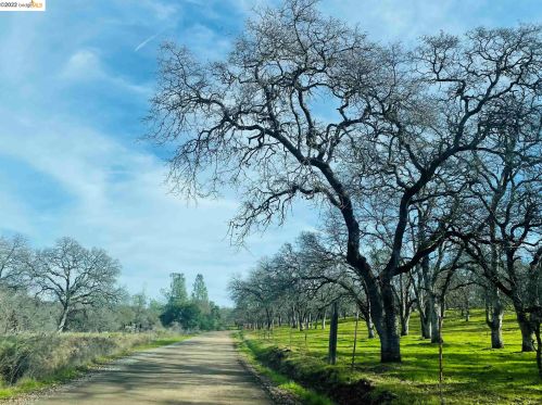 299 Stageline Rd, Oroville, CA 95966-9035