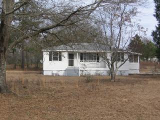 78 Firetower Rd, Pittsview, AL 36871-2828