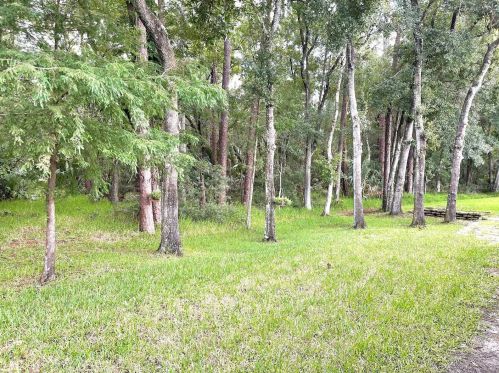 3516 Tealwood Cir, Palm Harbor FL  34685-3145 exterior