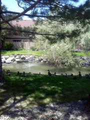 4616 Rio Poco Rd, Reno, NV 89502-6345