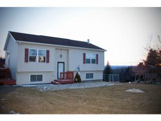 264 Nabinger Hill Rd, Vallonia Springs, NY 13813-1106
