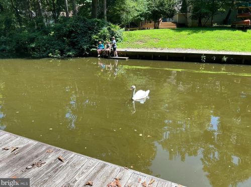 123 Indian Hills Rd, Locust Grove VA  22508-5214 exterior