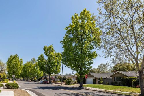 800 Harvard Ave, Sunnyvale, CA 94087-1208