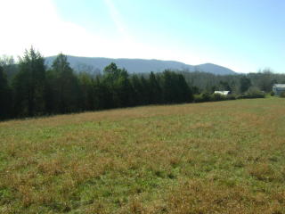 7759 Truevine Rd, Glade Hill, VA 24092-3909