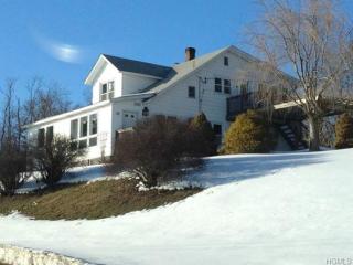 12 Snow Drift Ln, Goshen, NY 10924-6020