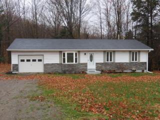 21 Park Hill Road Ext, Erin, NY 14838-9507