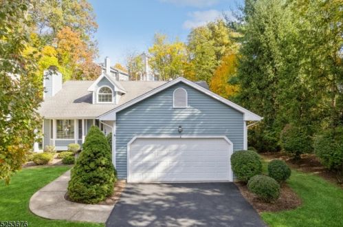 8 Smoke Rise Ln, Bedminster, NJ 07921-1873