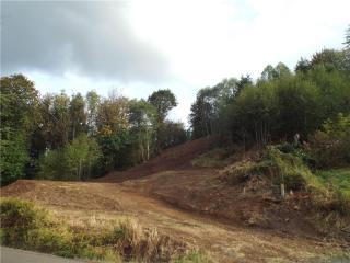 221 Lakeview Dr, Ajlune, WA 98564-9617