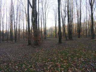 10613 Hemlock Ln, Girard, PA 16417