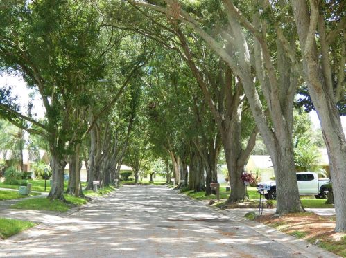 3231 Ayr Dr, Palm Harbor, FL 34684-2848