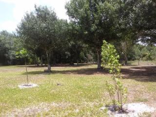 26920 Loblolly Bay Rd, Labelle, FL 33935-8412