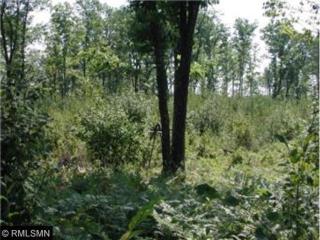 488 Kingsdale Rd, Yellow Lake, WI 54830-9064