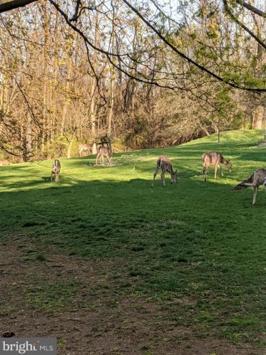 210 Hoernerstown Rd, Hummelstown PA  17036-9503 exterior