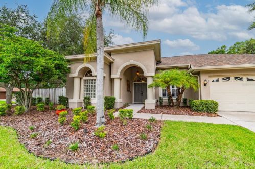 3321 Pattie Pl, Palm Harbor, FL 34685-2112