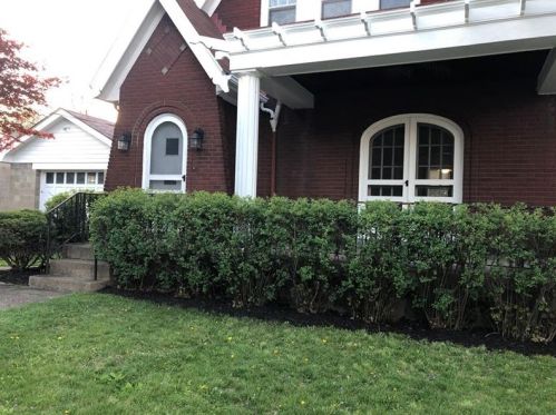 1002 Alquin St, Mckeesport, PA 15133-3502