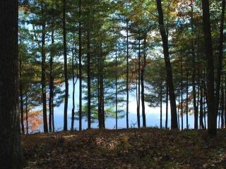 7046 Sylvan Trl, Hazelhurst, WI 54531-9584