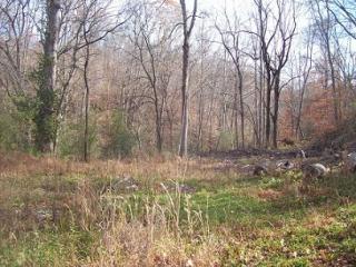 173 Linden Rd, Fairfield, TN 37033-1511