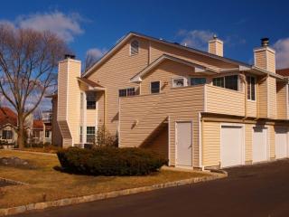 49 Foxwood Ct, Bedminster, NJ 07921-1431