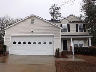 137 Greycoat Ct, Lexington SC  29073-7106 exterior