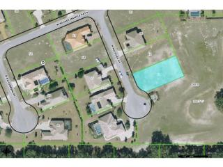1529 Mccovey Pt, Hernando, FL 34442-5196