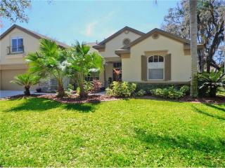 5939 Jaegerglen Dr, Lithia, FL 33547-5864