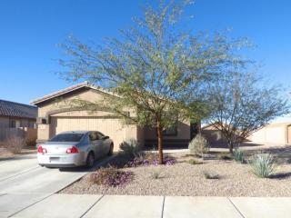 14255 Bronze Statue Ave, Marana, AZ 85658-4637