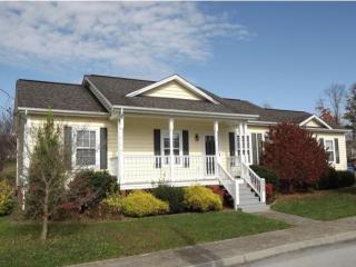 220 Main Street Village Dr, Jonesborough, TN 37659-1434