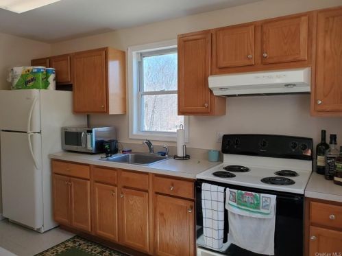 171 Mount Hope Rd, Swan Lake, NY 12783-5434