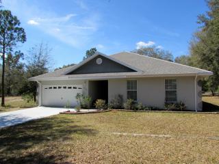 4348 Deepwater Ct, Dunnellon, FL 34431-3820