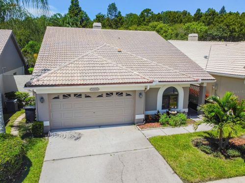 3664 Darston St, Palm Harbor FL  34685-1182 exterior