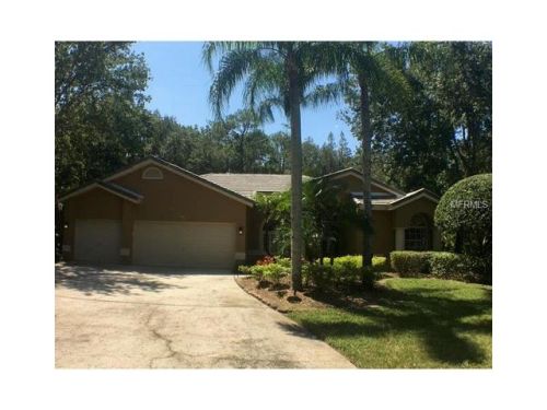 1466 Whisper Wind Ln, Oldsmar, FL 34677-5130