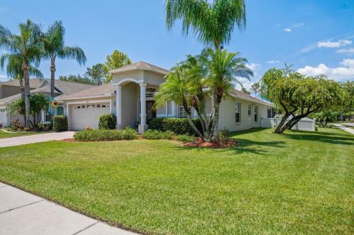 388 Ventura Dr, Oldsmar, FL 34677-4616